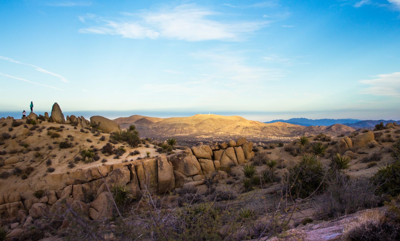 joshua tree ryan mountain vista